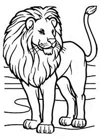 דפי צביעה אריה - דף מס. 1