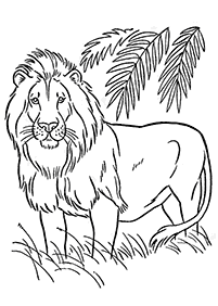 דפי צביעה אריה - דף מס. 10