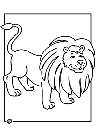 דפי צביעה אריה - דף מס. 24