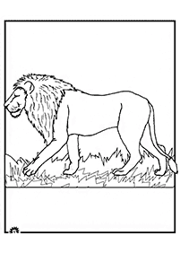 דפי צביעה אריה - דף מס. 28