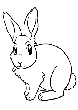 דפי צביעה חיות - ארנבים