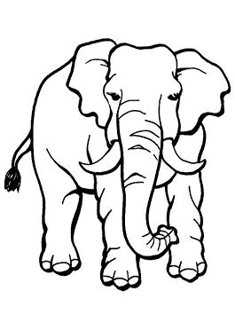דפי צביעה חיות - פילים