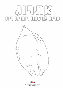 דפי צביעה לסוכות - דף מס. 14