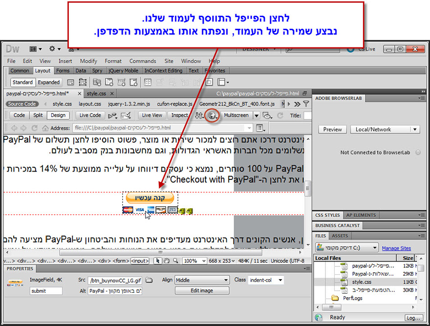 מדריך הטמעת לחצן פייפל באתר 12