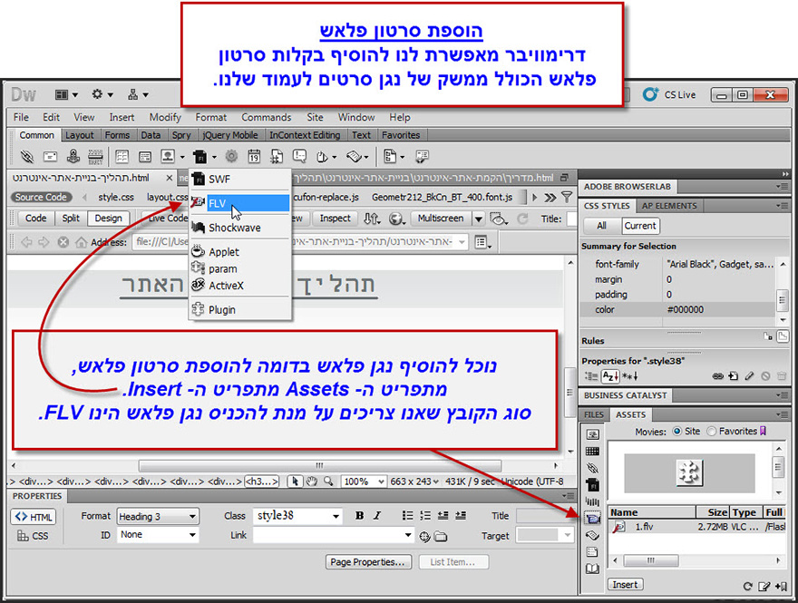 Dreamweaver הוספת סרטון פלאש 1