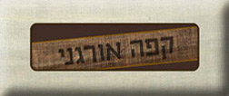 Photoshop - מדריכים לפוטושופ טקסט - לוגו רטרו לקפה אורגני
