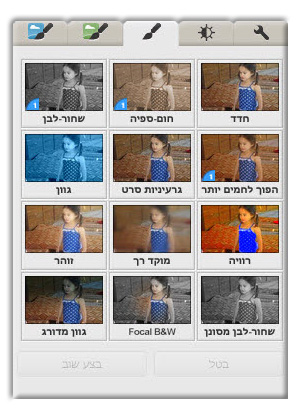 מדריך פיקסה אפקטים  Picasa Effects 2