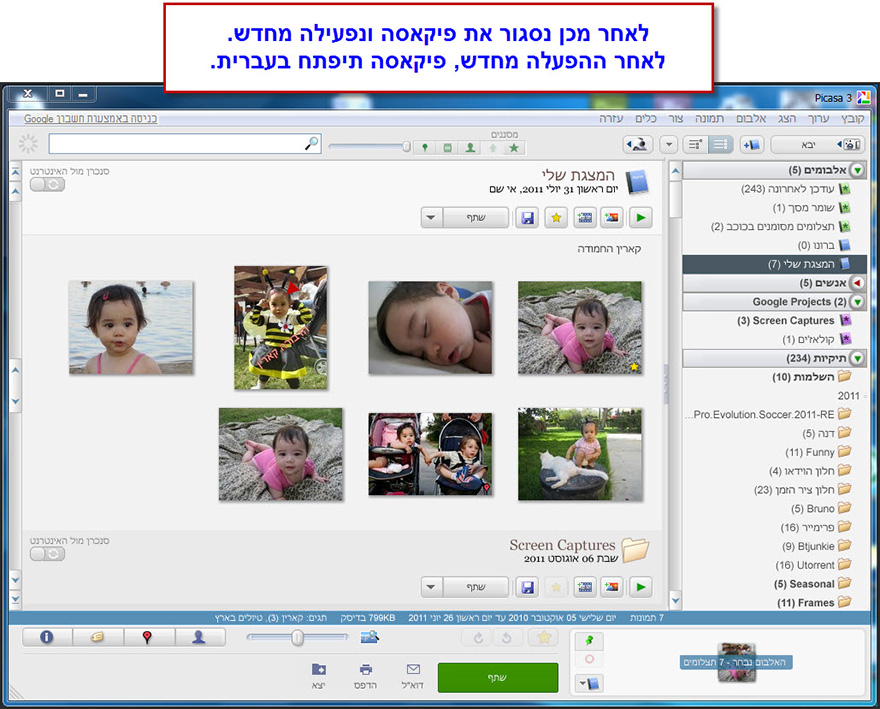 פיקסה בעברית Picasa 4