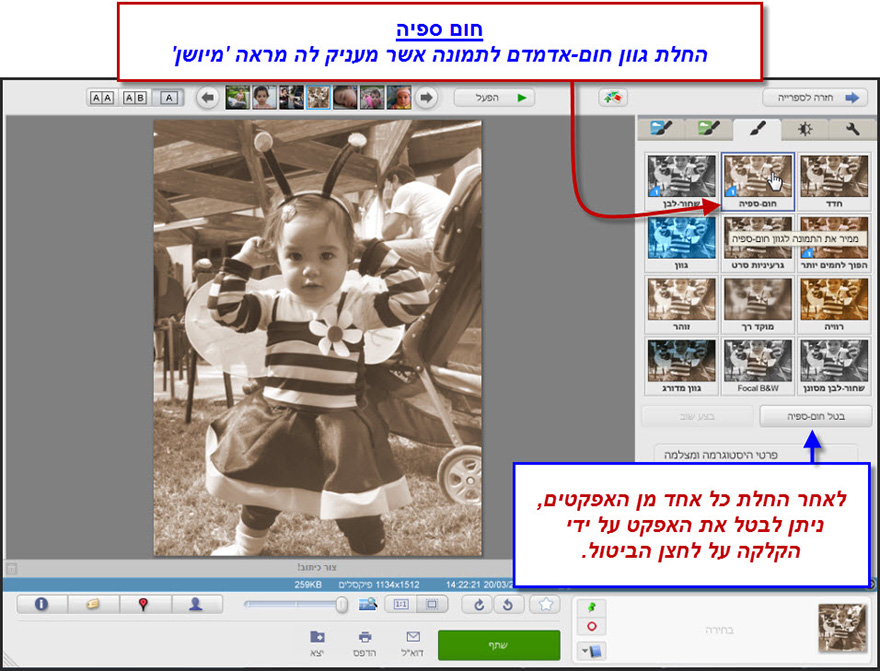 הוספת גוון חום ספיה לתמונה Picasa Effects 1