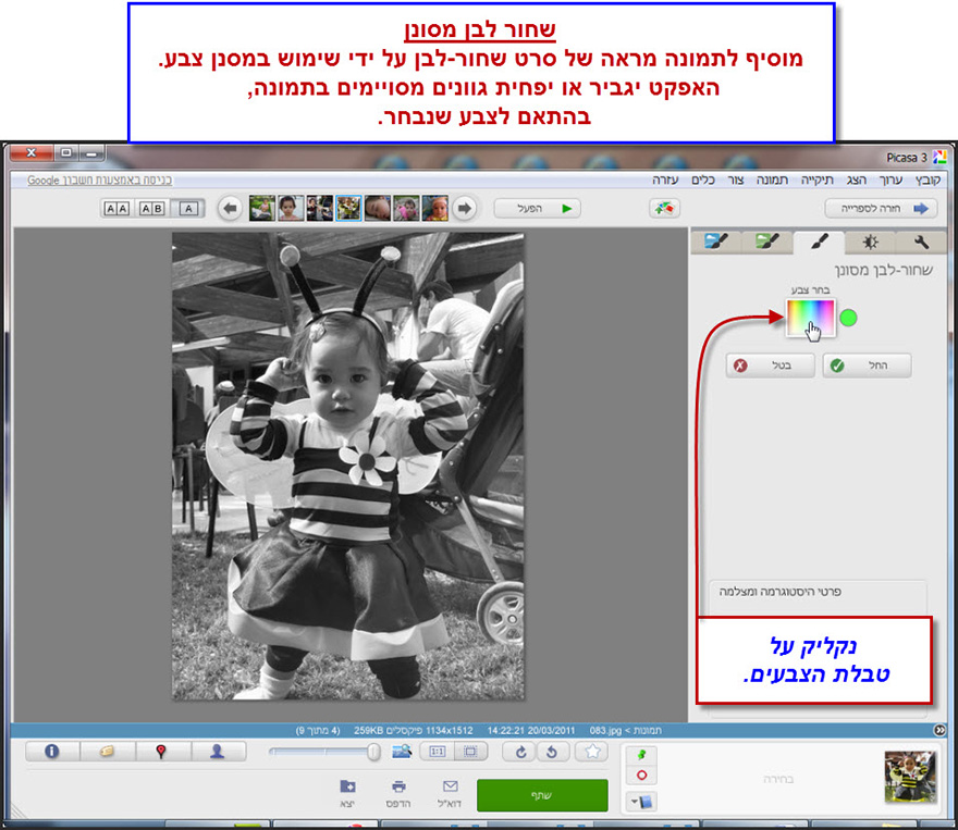 שחור לבן בגוונים Picasa Photo Editor 2