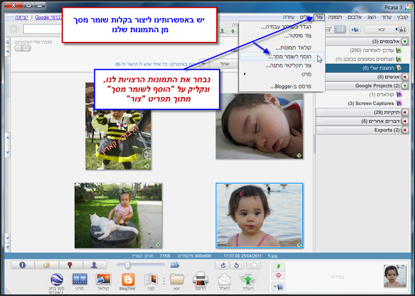 Picasa יצירת שומר מסך 1