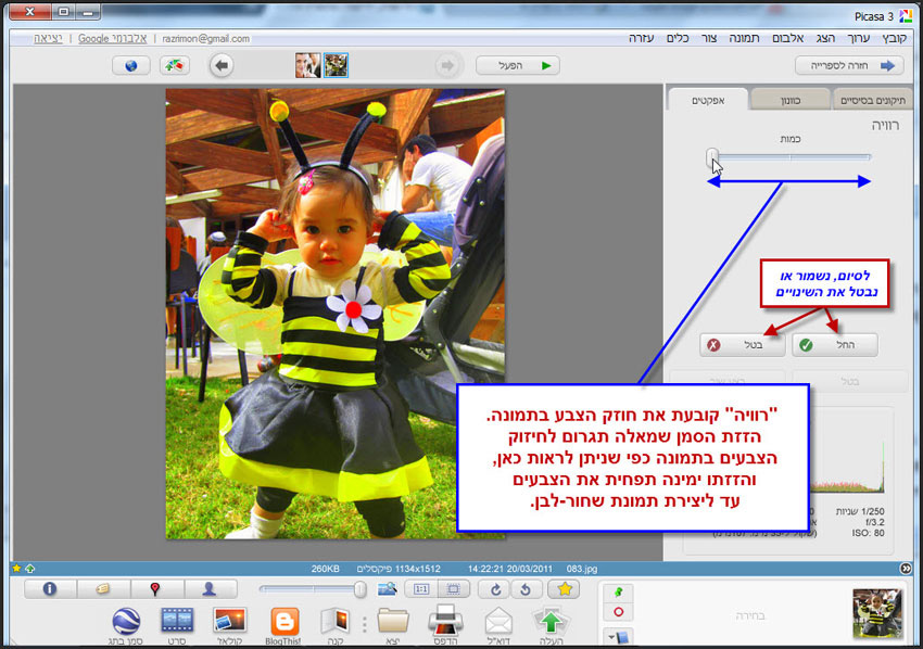 Picasa שליטה על חוזק הצבע בתמונה 2