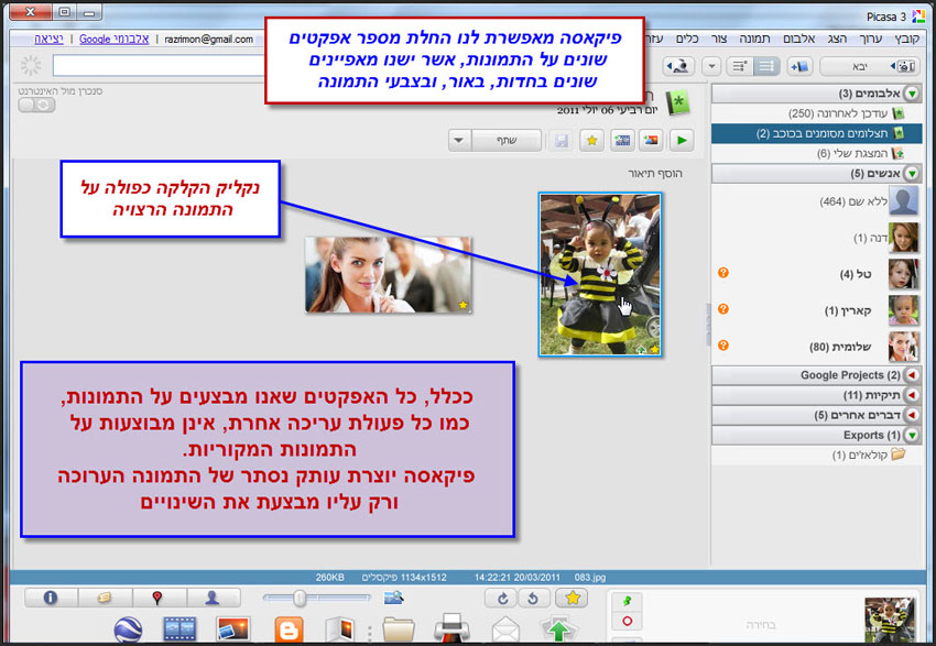 אפקטים בפיקסה Picasa Effects 1