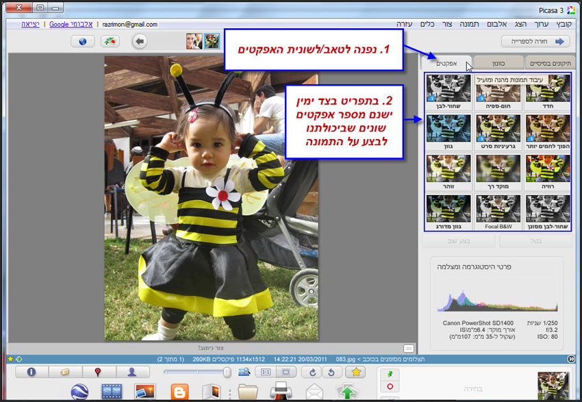 אפקטים בפיקסה Picasa Effects 2