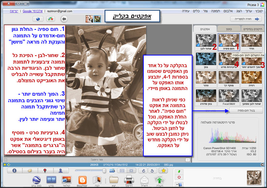 אפקטים בקליק אחד Picasa Effects 1