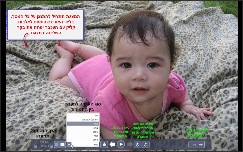 הפעלת מצגת תמונות בקלות עם Picasa 2