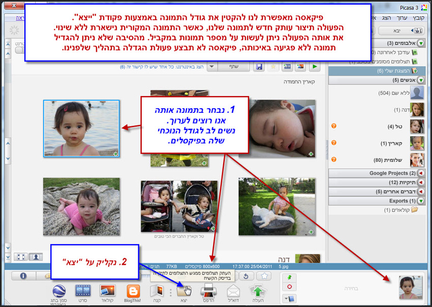 הקטנת תמונה בעזרת Picasa 1