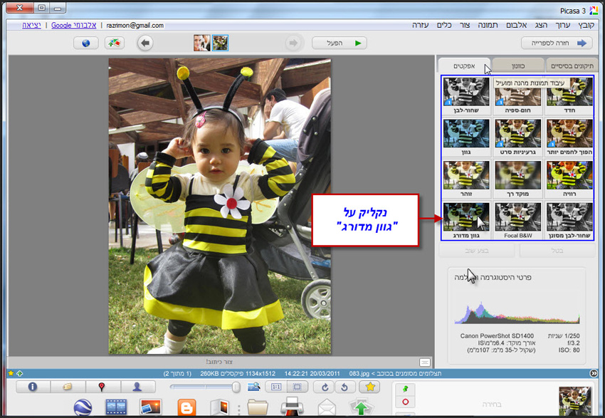 Picasa מסנן מדורג לצילומי שמיים 1
