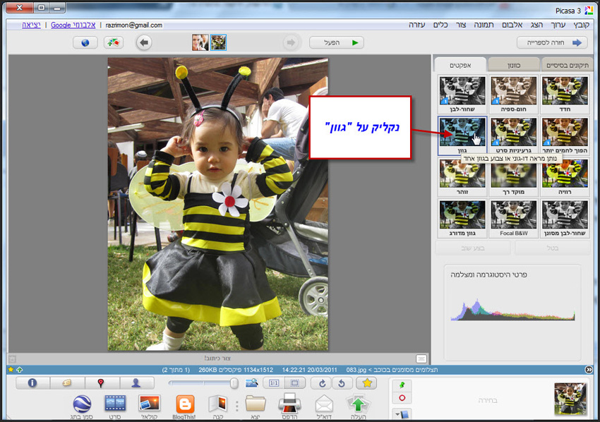 Picasa שינוי גוון לתמונה 1