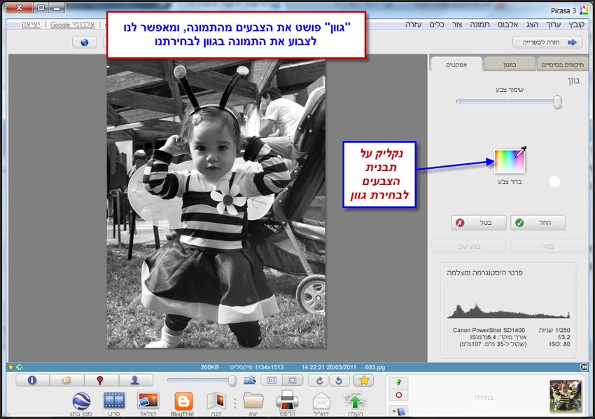 Picasa שינוי גוון לתמונה 2