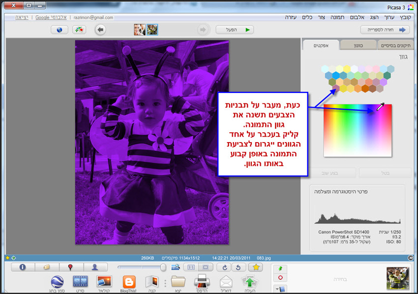 Picasa שינוי גוון לתמונה 3