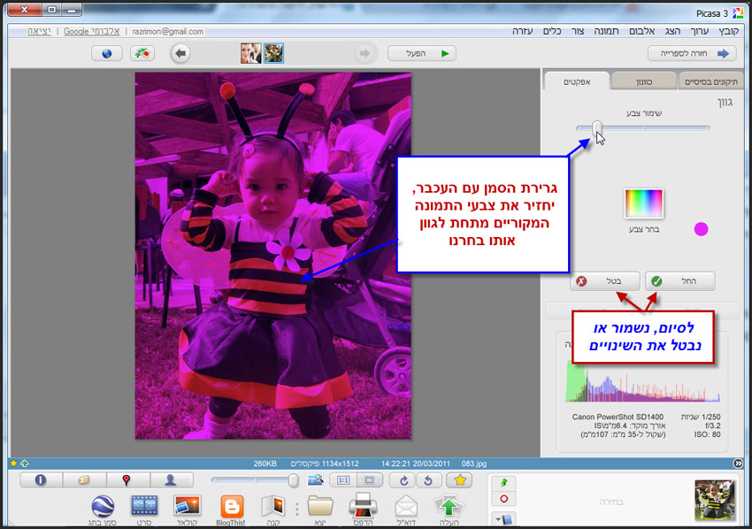 Picasa שינוי גוון לתמונה 4