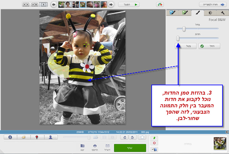 Picasa Photo Editor focial B&W 3