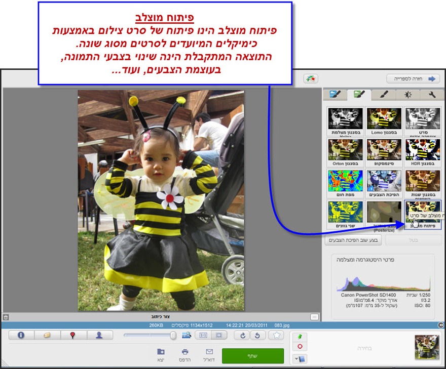 אפקט פיתוח מוצלב Picasa Photo Editor 1