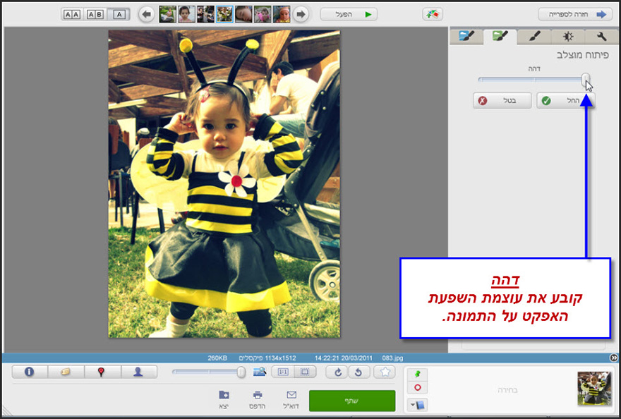 אפקט פיתוח מוצלב Picasa Photo Editor 2