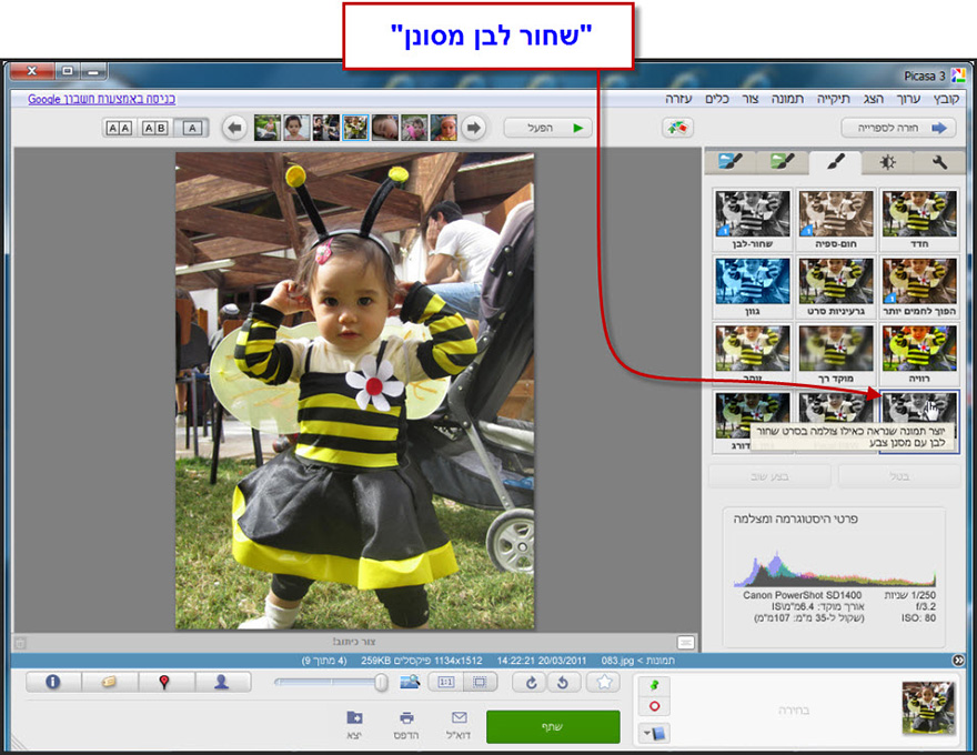 שחור לבן בגוונים Picasa Photo Editor 1