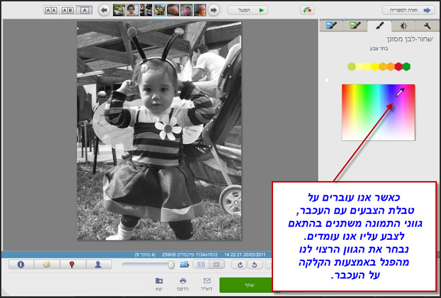 שחור לבן בגוונים Picasa Photo Editor 3