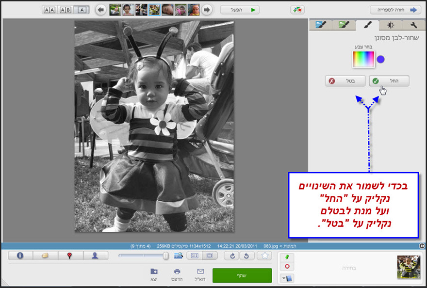 שחור לבן בגוונים Picasa Photo Editor 4