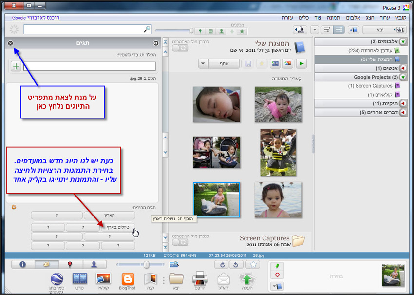 Picasa יצירת לקט תמונות לפי מילת מפתח תיוג תמונות 5