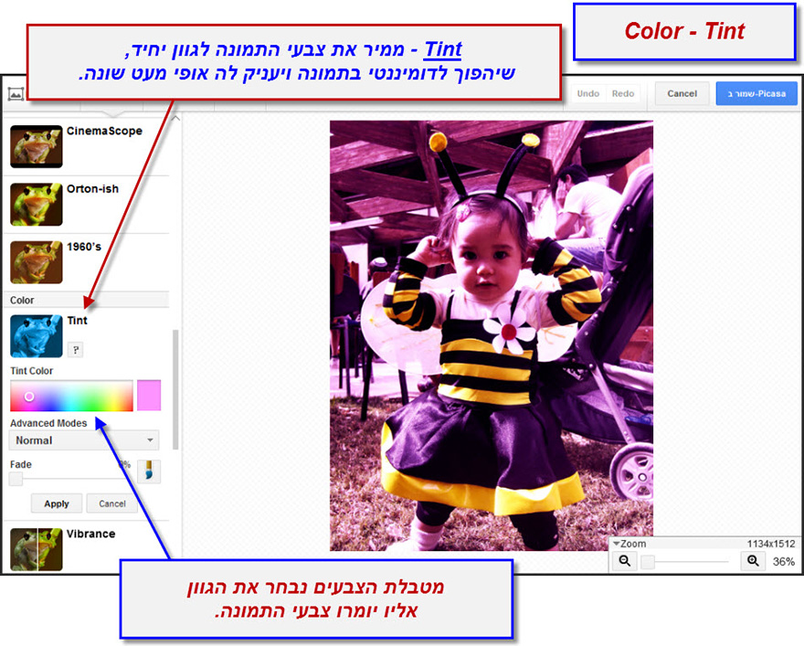 ערכת יצירה של פיקסה Tint 1