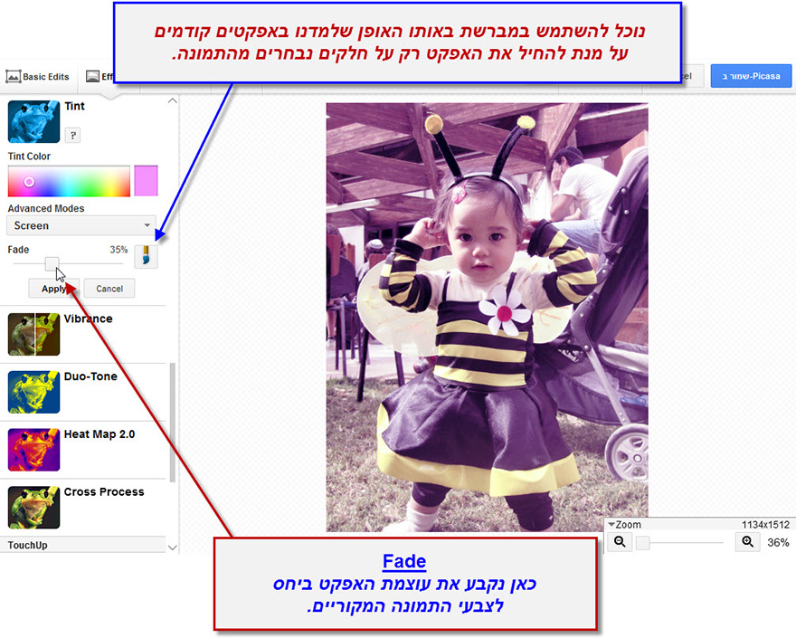 ערכת יצירה של פיקסה Tint 3