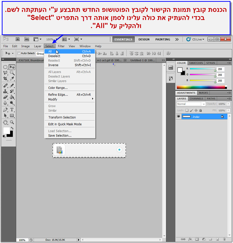 המדריך המקיף לבניית אתר - איך לשנות Rollover Button באתר - 12
