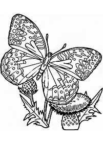 butterfly coloring pages - page 15