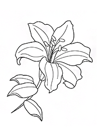 flower coloring pages - page 35