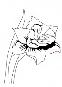 flower coloring pages - page 43