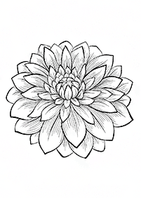 flower coloring pages - page 47