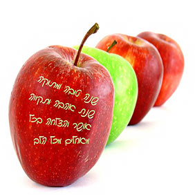 ברכות לראש השנה - ברכה מס' 43