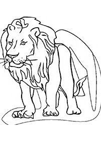 דפי צביעה אריה - דף מס. 87