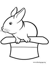 דפי צביעה ארנב - דף מס. 15