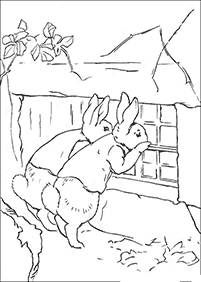 דפי צביעה ארנב - דף מס. 24