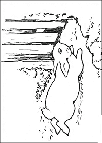 דפי צביעה ארנב - דף מס. 28