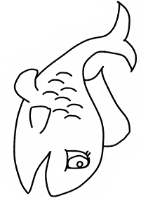 דפי צביעה דגים - דף מס. 16