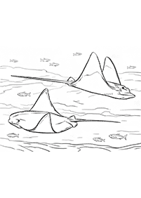 דפי צביעה דגים - דף מס. 21