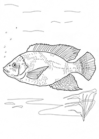 דפי צביעה דגים  - דף מס. 83
