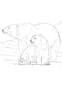 דפי צביעה דובים - דף מס. 21