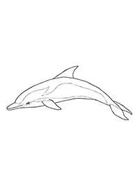 דפי צביעה דולפין - דף מס. 1